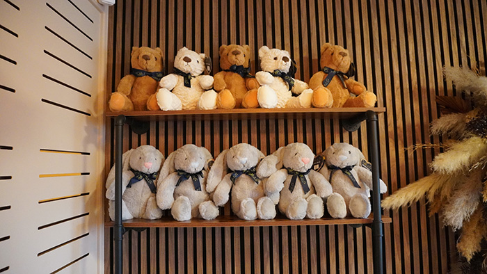 HerView Ultrasound Heartbeat Bears